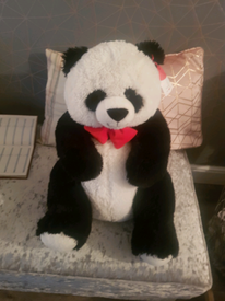 yoyo panda home bargains